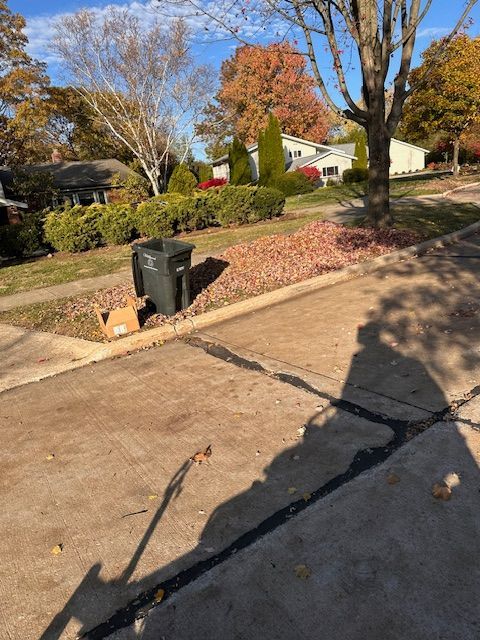Street scene with fall leaves, trash bin, and houses on a sunny day.