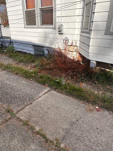 Exterior of a white house with overgrown reddish-brown weeds next to a cracked sidewalk.
