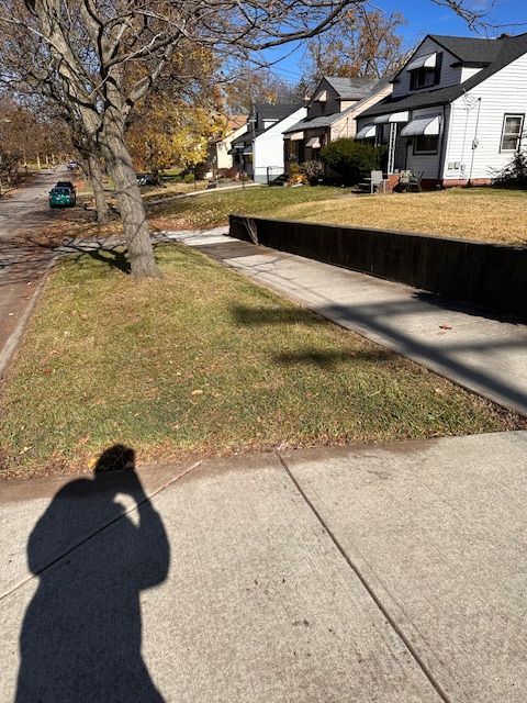 Sidewalk view in a residential area, with houses, trees, and shadow of person taking the picture.
