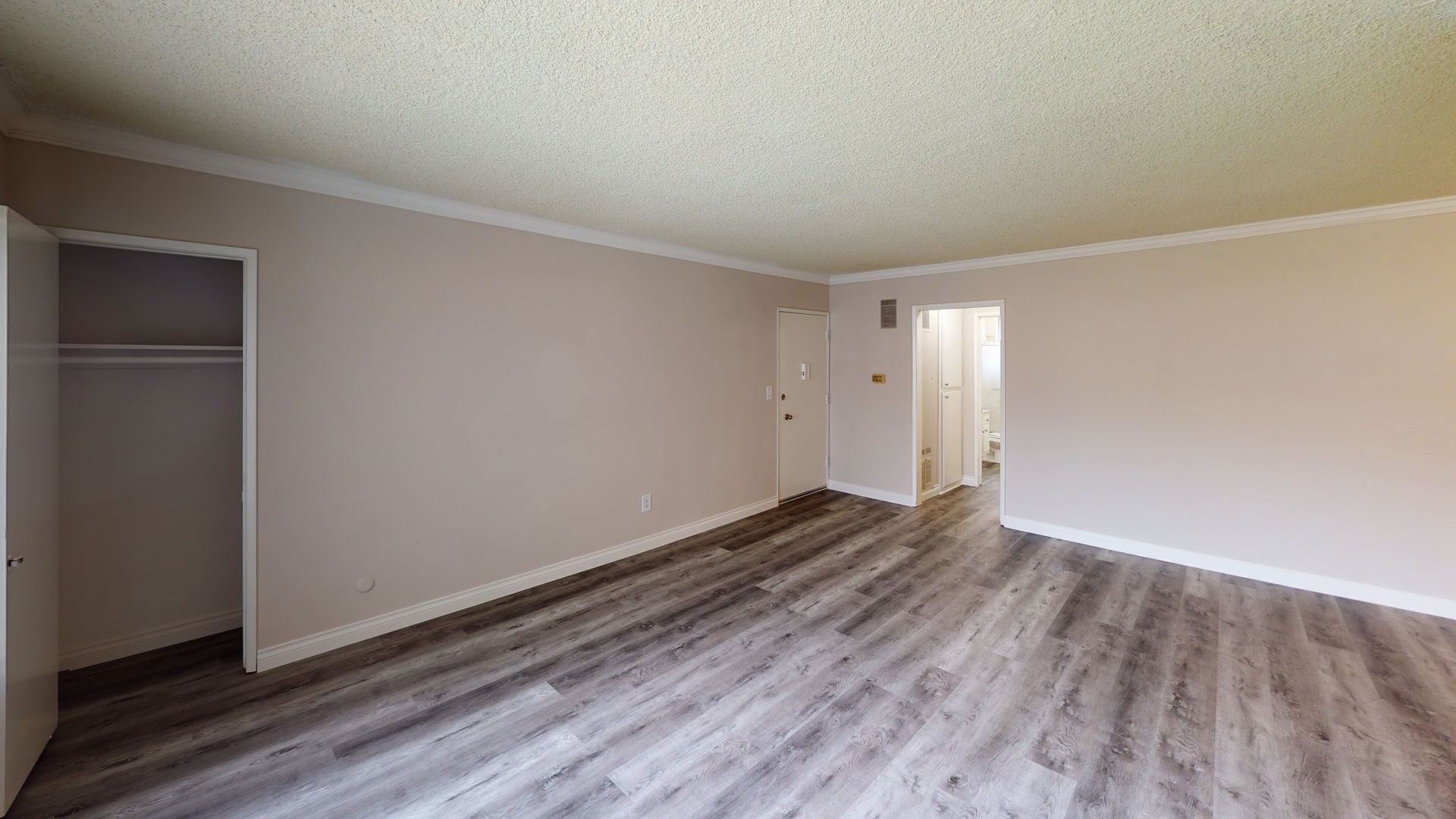 Empty room with gray wood-look flooring, neutral walls, closet, and a doorway to a bathroom.