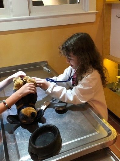 Girl in lab coat uses a stethoscope on a stuffed dog at a play veterinary station.