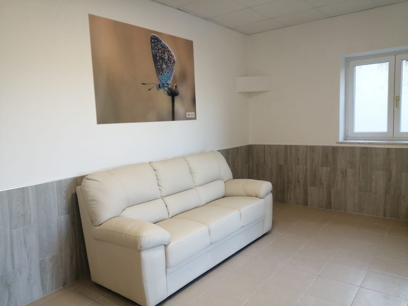 Divano bianco in camera con decorazione a farfalla e finestra. Rivestimento in legno grigio e pavimento piastrellato color cuoio.