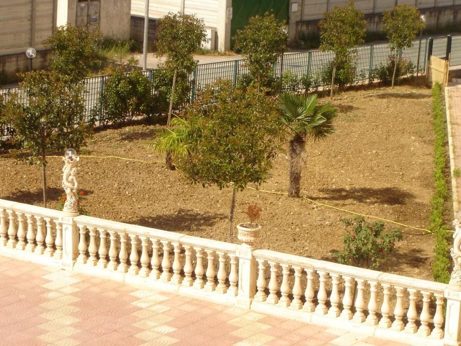 Un giardino con diversi piccoli alberi e cespugli dietro una balaustra bianca decorativa.