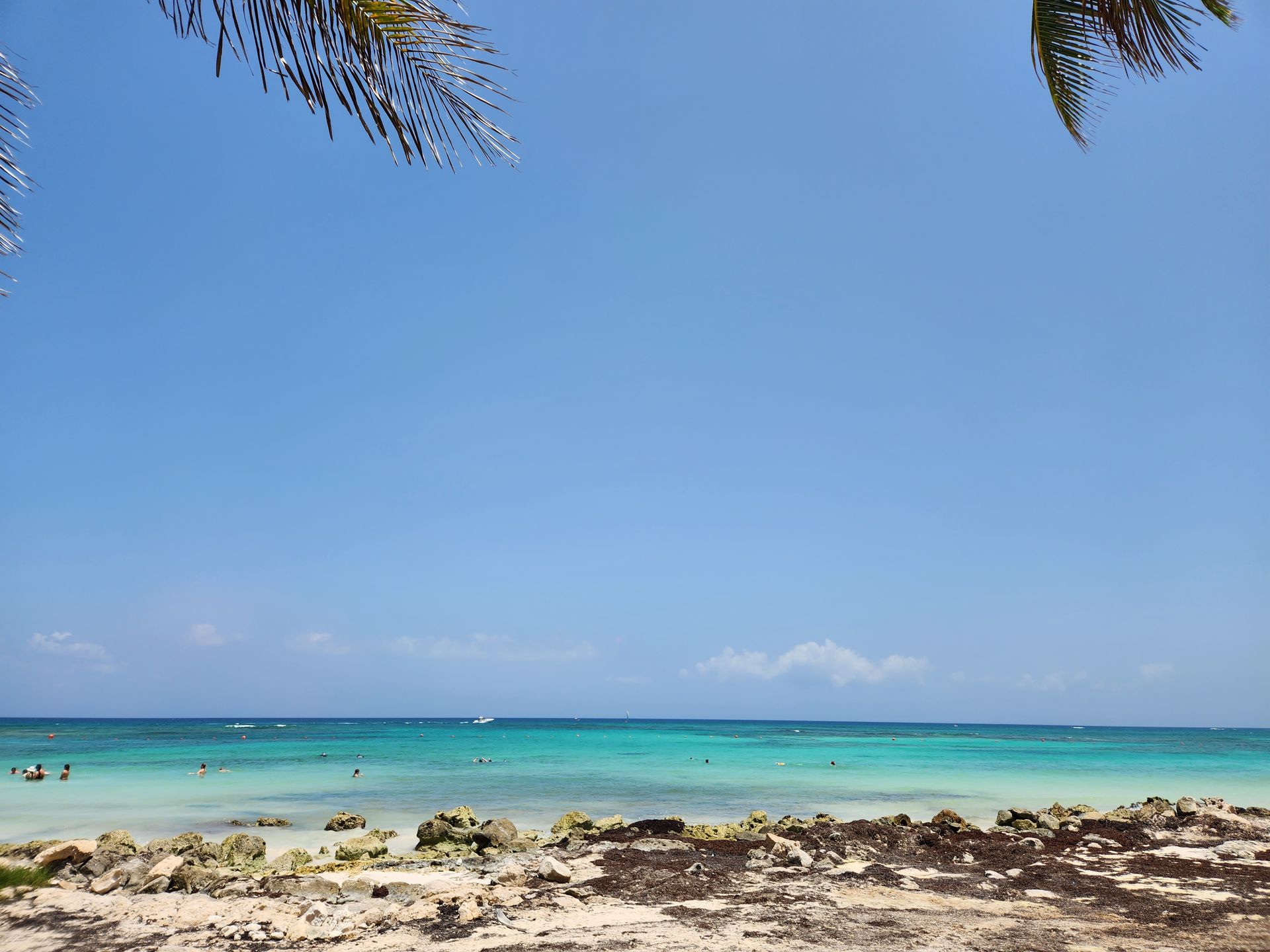 Tropical beach with clear turquoise water, a rocky shoreline, and palm fronds framing the top against a bright blue sky.
