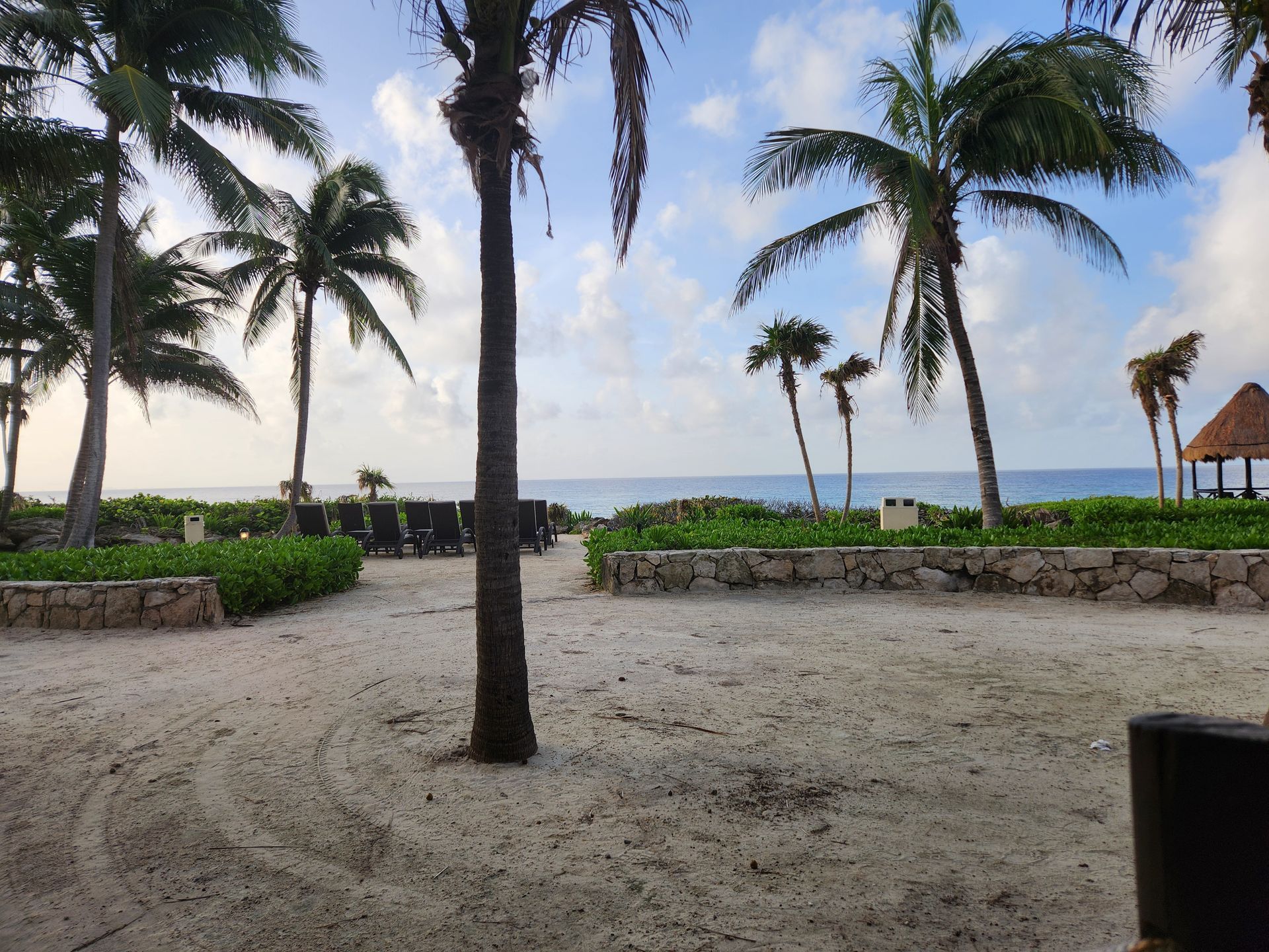 Sandy path leading to a tropical beach framed by palm trees, with lounge chairs in the distance under a blue sky.