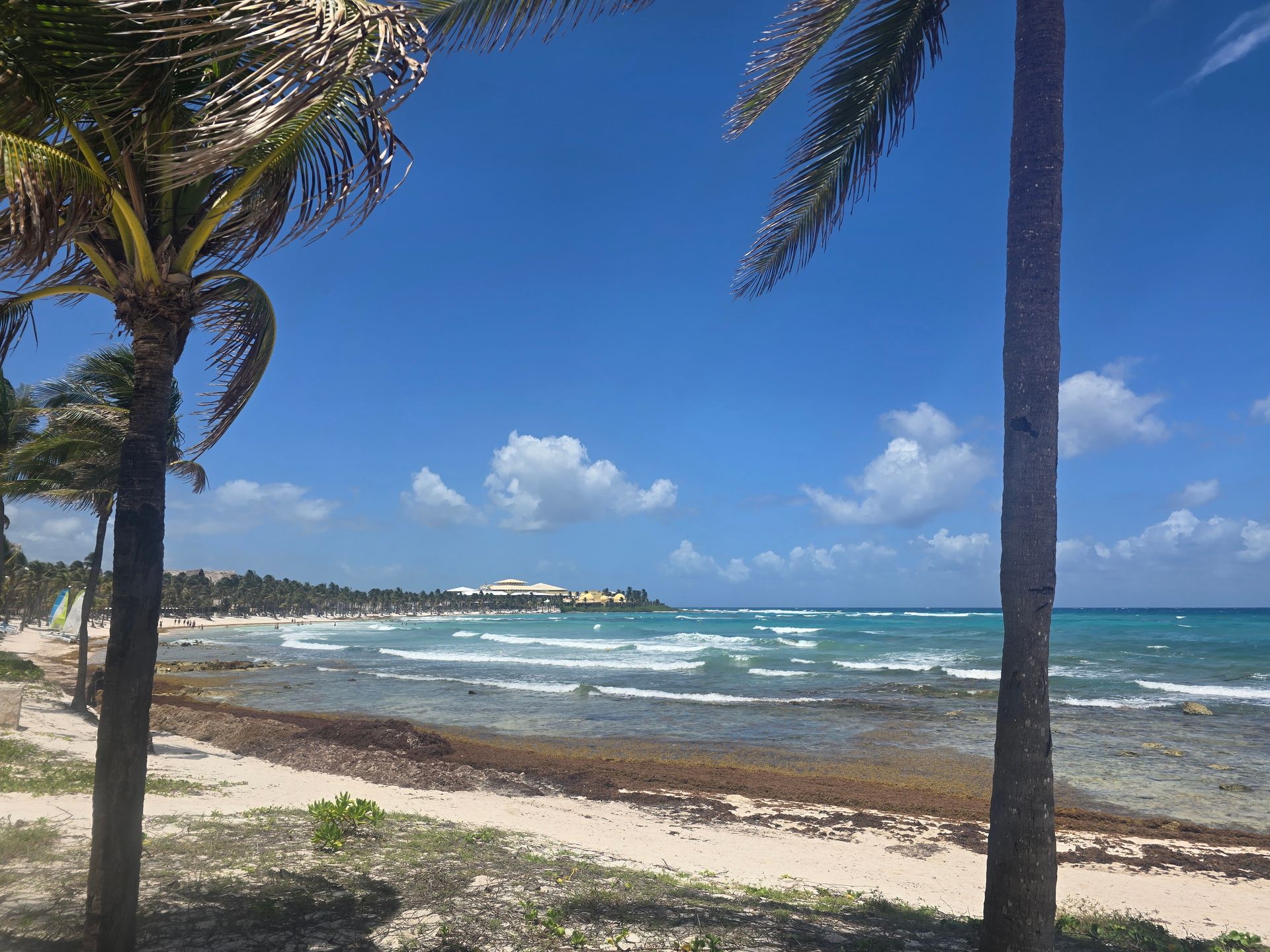 Palm trees frame a sunny beach with waves hitting the shore and a hotel visible in the distance under a blue sky.