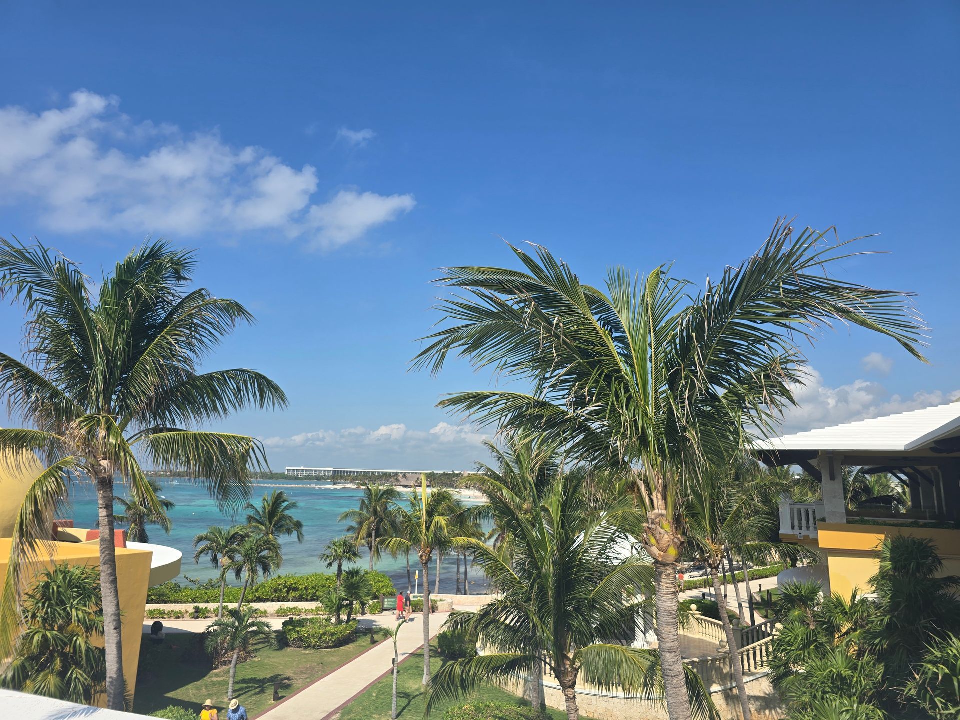 A sunny tropical resort view featuring palm trees, a path, and the ocean under a clear blue sky.