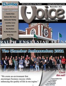 A group of people are on the cover of the voice magazine