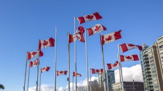 A bunch of canadian flags are waving in the wind