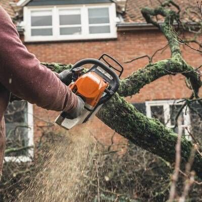 A man is cutting a tree branch with a chainsaw.