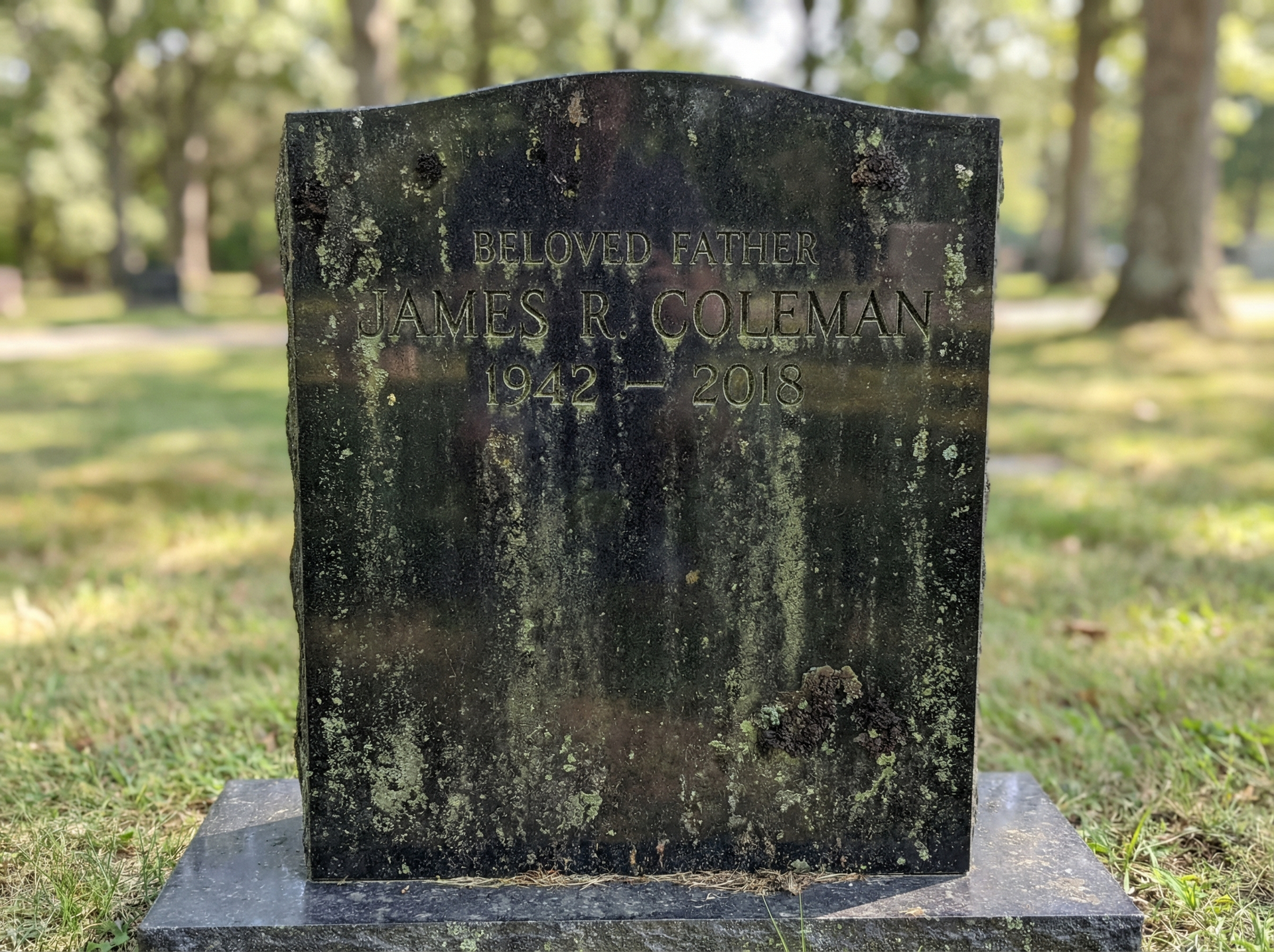 Granite headstone before cleaning — algae and lichen buildup visible