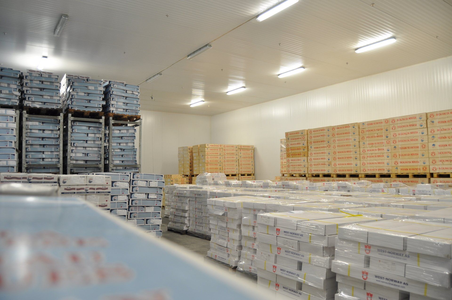 Pladil Refrigeração