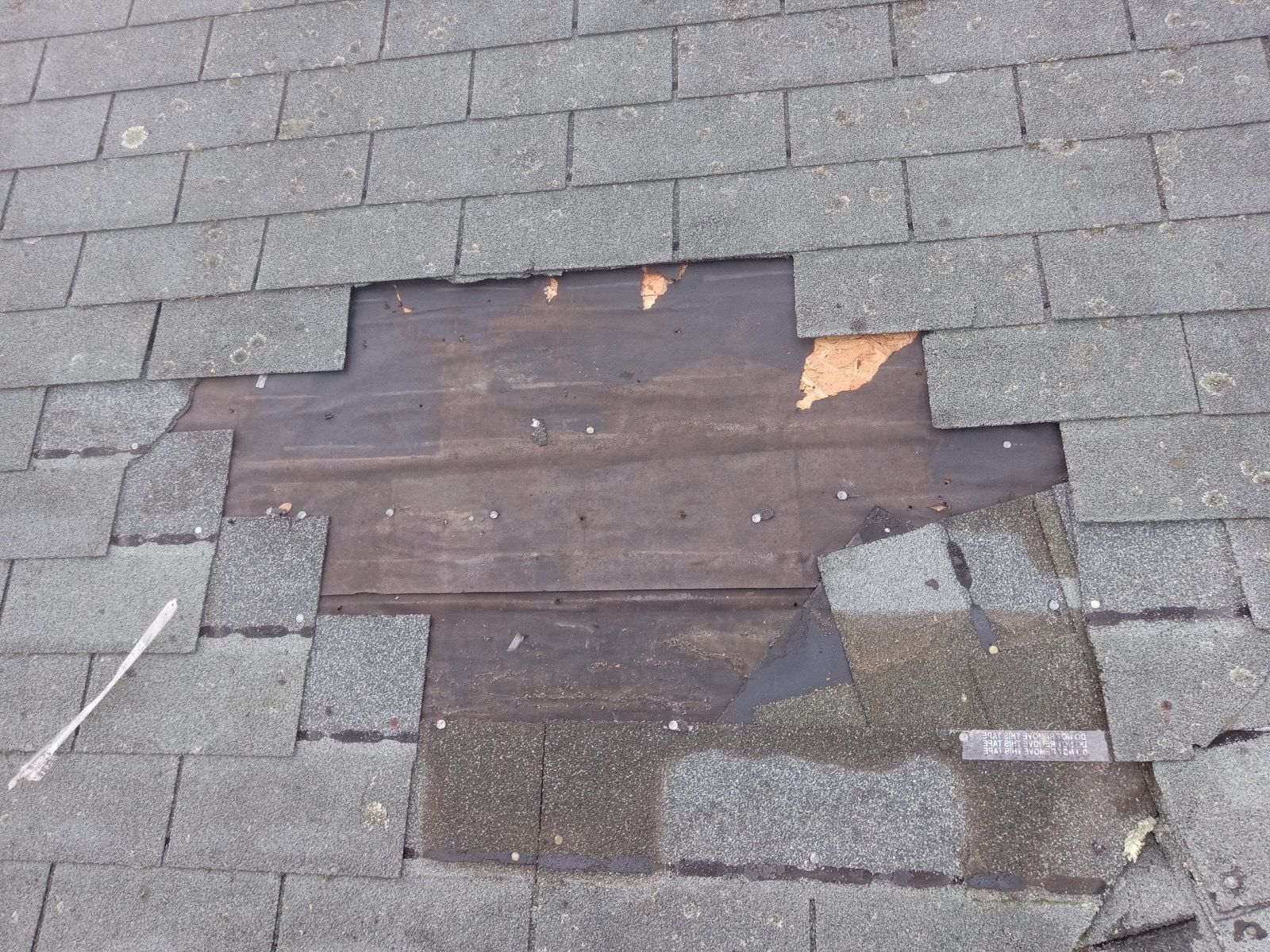 Damaged shingles on a roof in South Kingstown