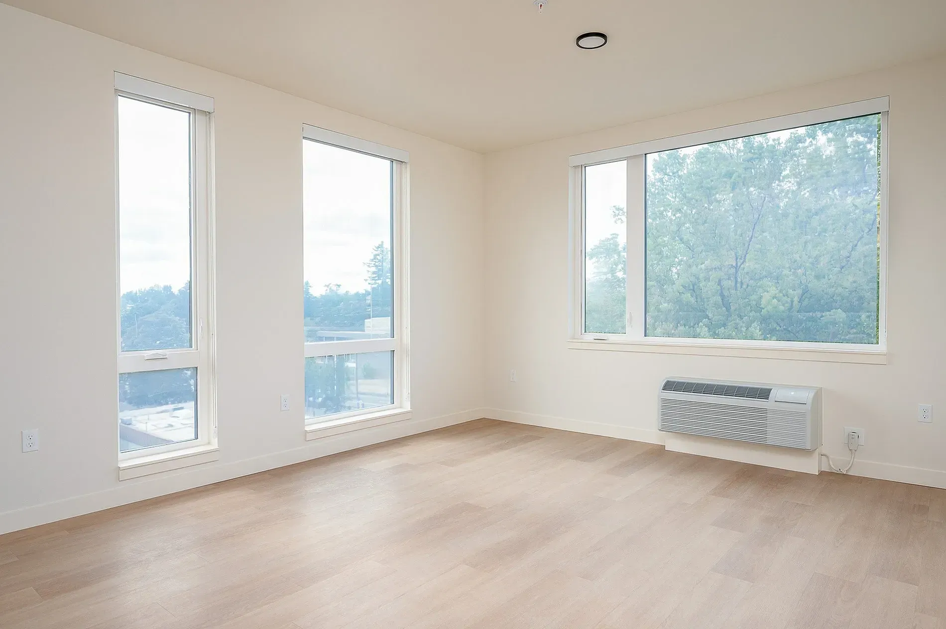 Empty living room with hardwood floors and large windows.