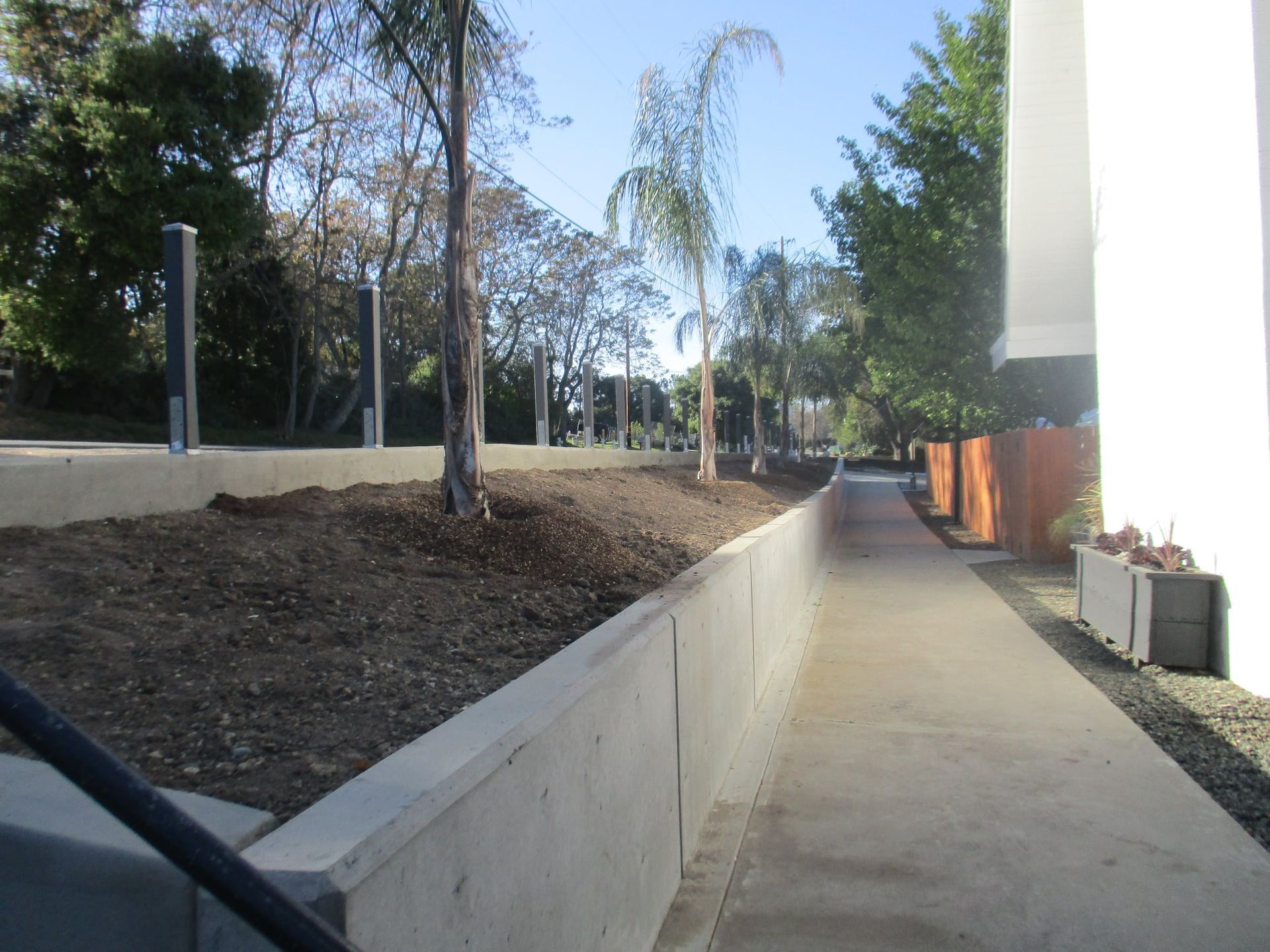 Outdoor walkway beside a concrete retaining wall, with trees and buildings in bright daylight