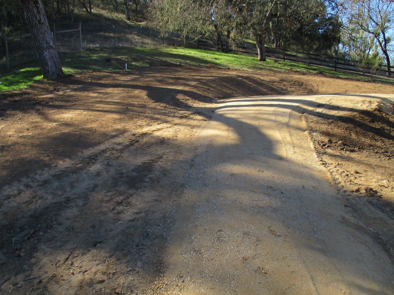 Dirt road with deep tire ruts winding through a wooded hillside in bright sunlight
