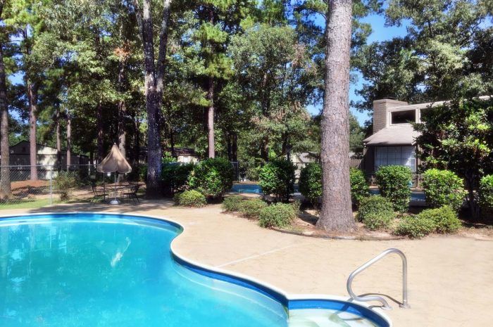Pool at Pine Highland Apartment Homes