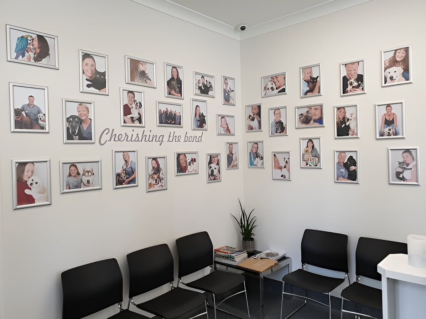 A Waiting Room With Chairs and Pictures on the Wall — Kanwal Veterinary Hospital In Kanwal, NSW