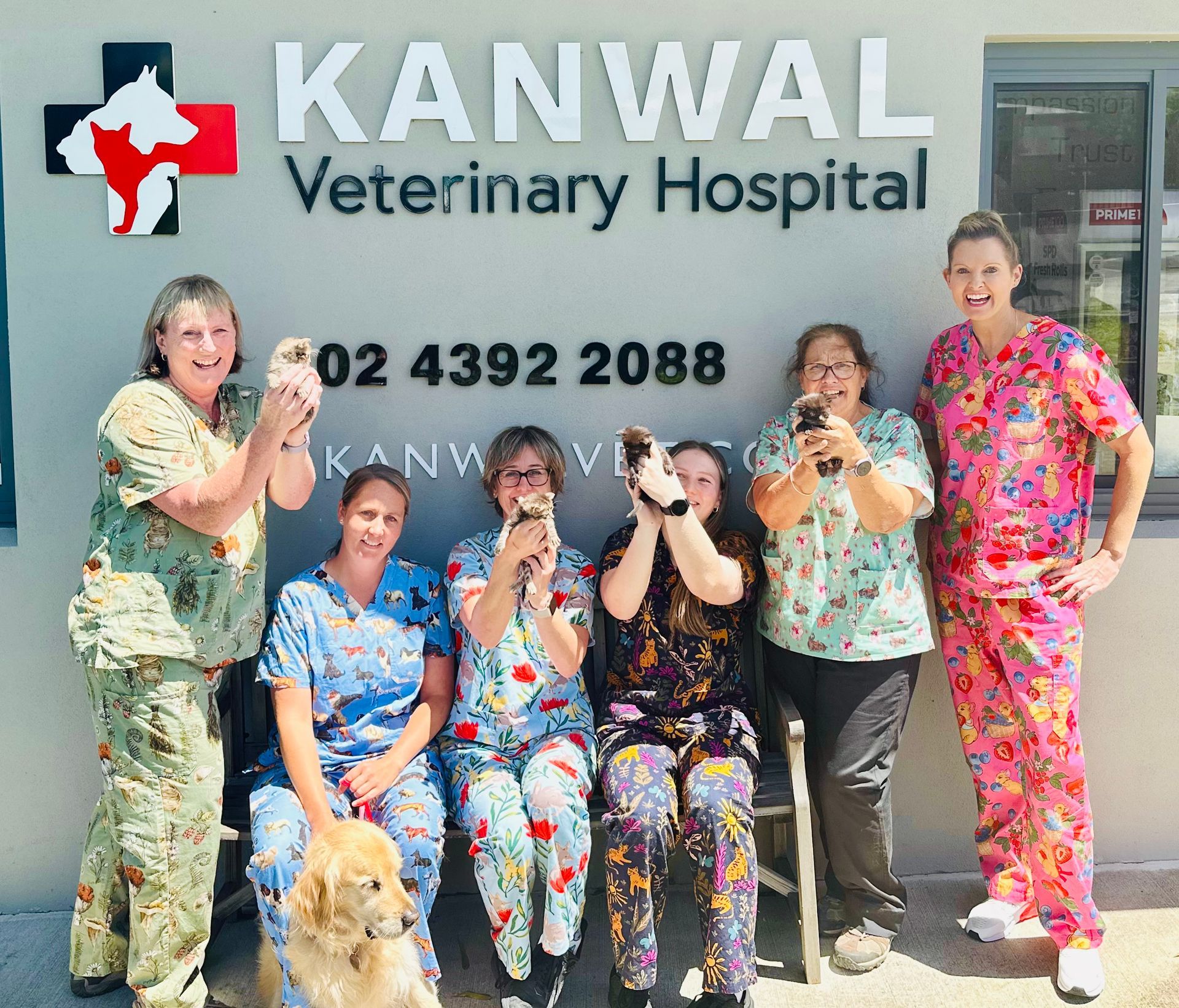A group of women are posing for a picture in front of kanwal veterinary hospital — Kanwal Veterinary Hospital In Kanwal, NSW