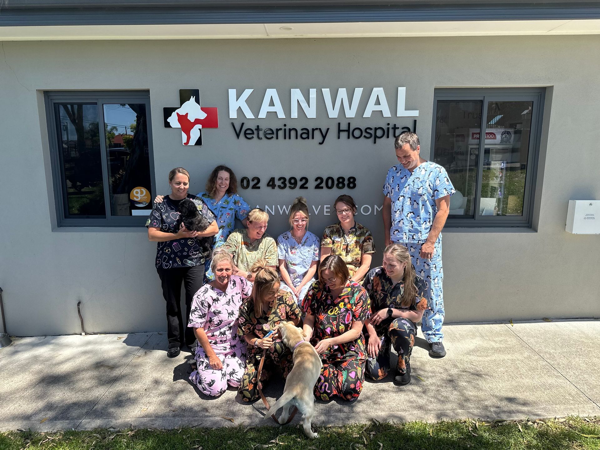 — Kanwal Veterinary Hospital In Kanwal, NSW
