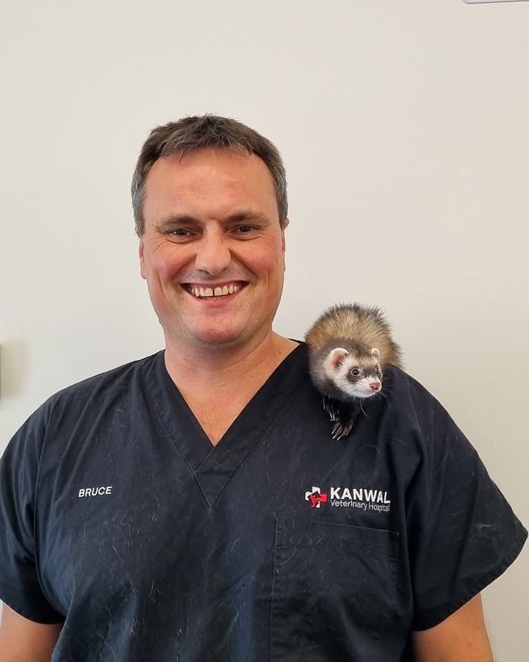 Man with animal on his shoulder — Kanwal Veterinary Hospital In Kanwal, NSW