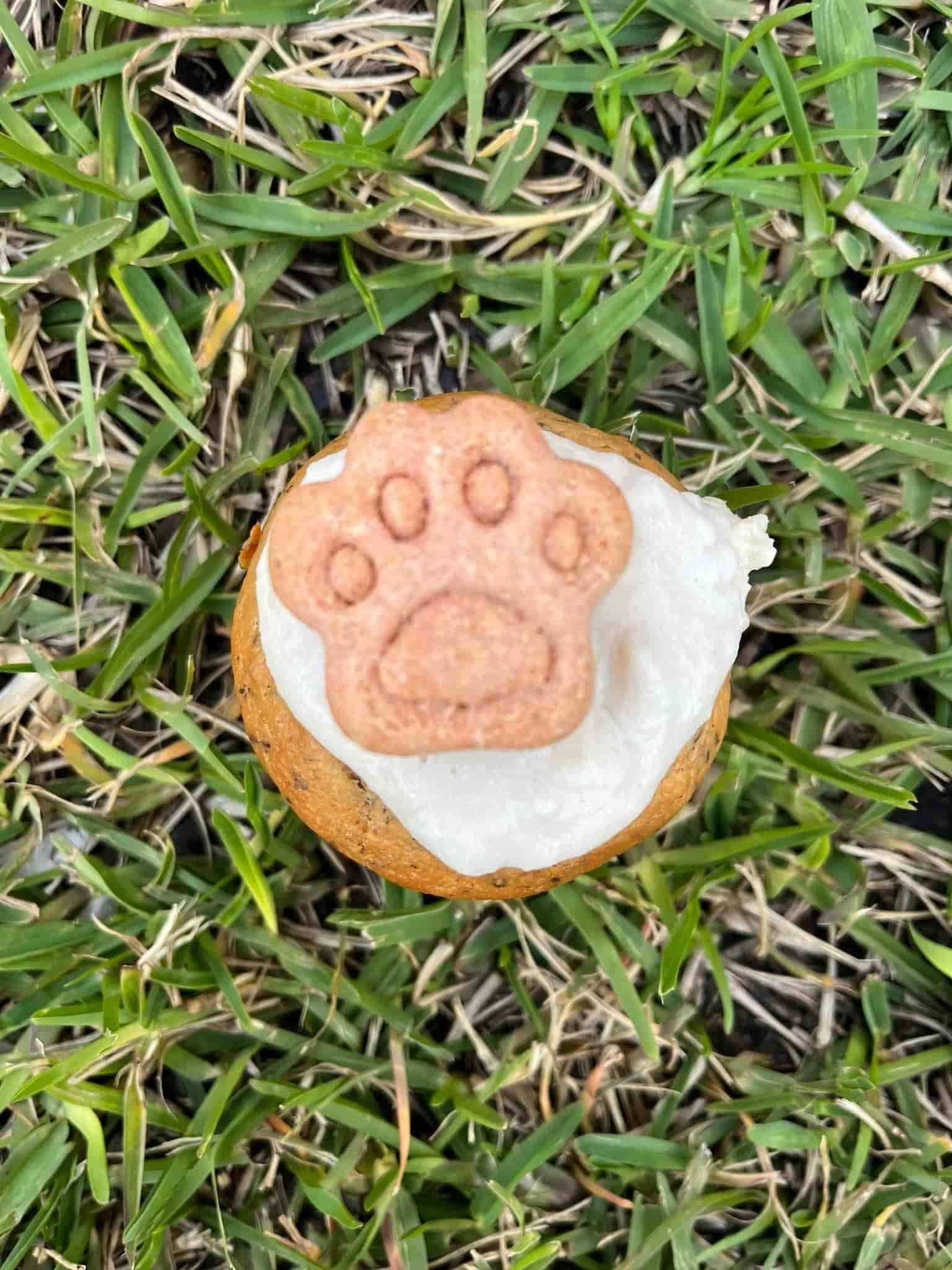A Cookie With a Paw Print on It is Sitting in the Grass — Kanwal Veterinary Hospital In Kanwal, NSW
