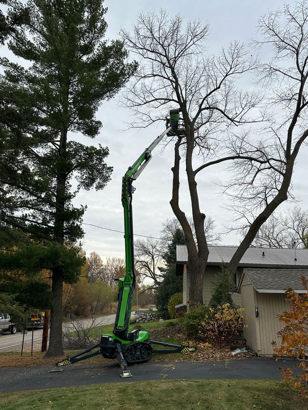 A green tree trimming lift trimming a tree in a residential area on an overcast day. A green tree trimming lift trimming a tree in a residential area on an overcast day.