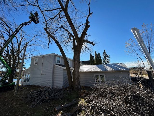 Person in safety gear uses a chainsaw to cut a tree trunk, spraying sawdust. Person in safety gear uses a chainsaw to cut a tree trunk, spraying sawdust.