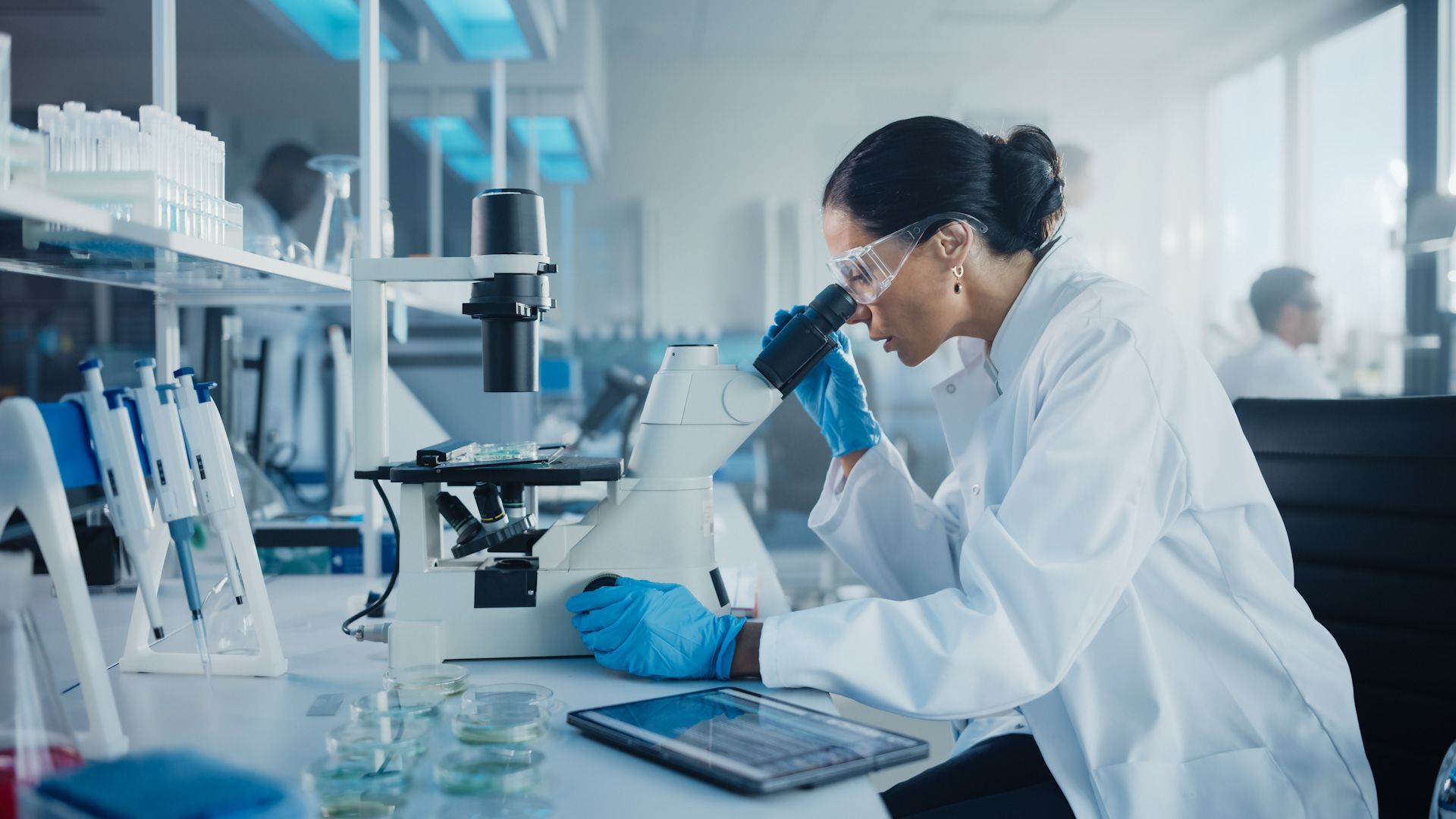 A female scientist looks through a microscope in a lab