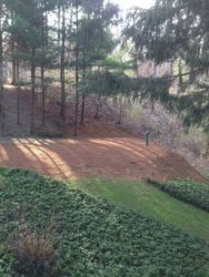 Area for Septic — Palmyra, NY — Zinks Septic Solutions, LLC