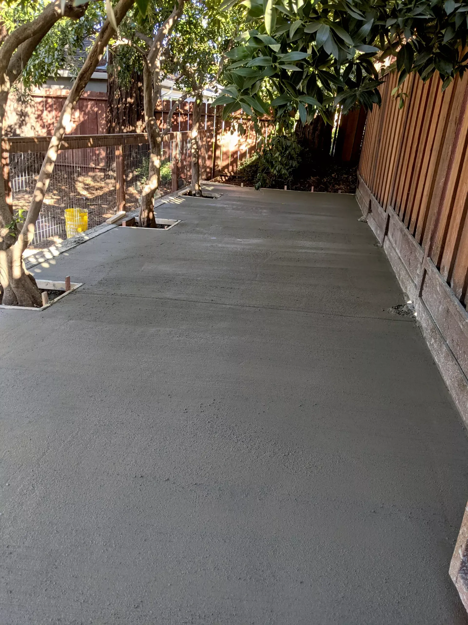 Newly poured concrete surface next to a wooden fence and trees; outdoor setting.