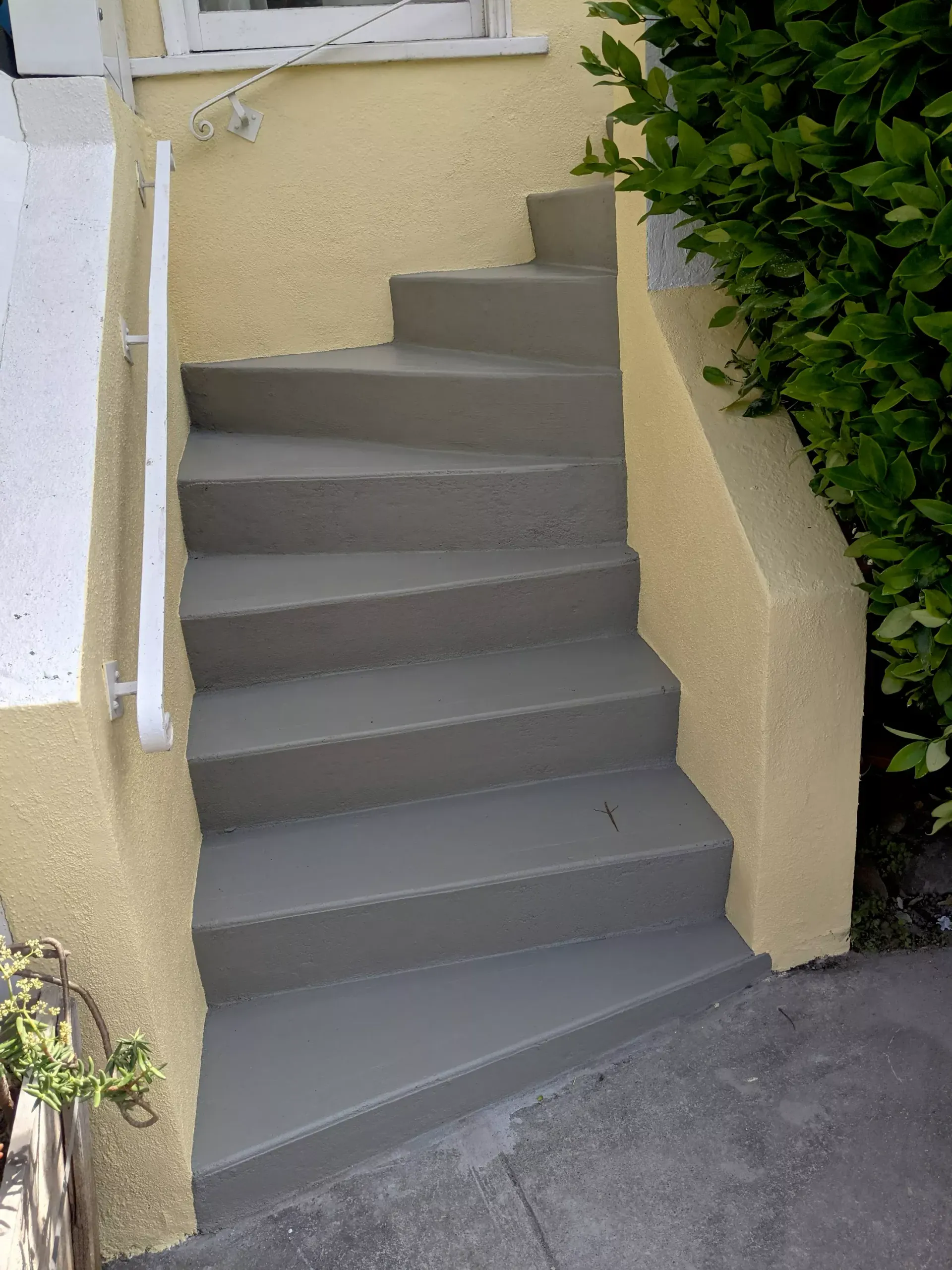 Gray concrete steps leading up to a yellow building. White handrail on the left, greenery on the right.