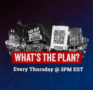 Protest signs against Elon Musk, text