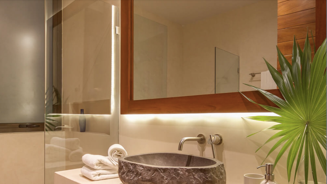 A bathroom with a sink , mirror , and plant.