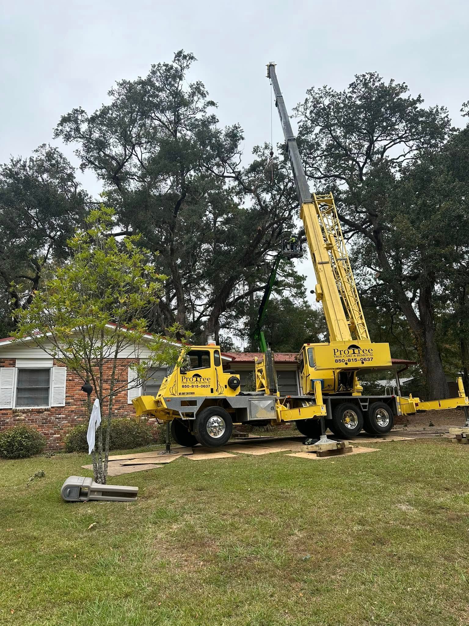 Yellow crane truck parked on grass beside a brick house, with trees and a raised boom overhead.