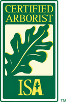 Certified Arborist ISA logo with green leaf on white and gold background