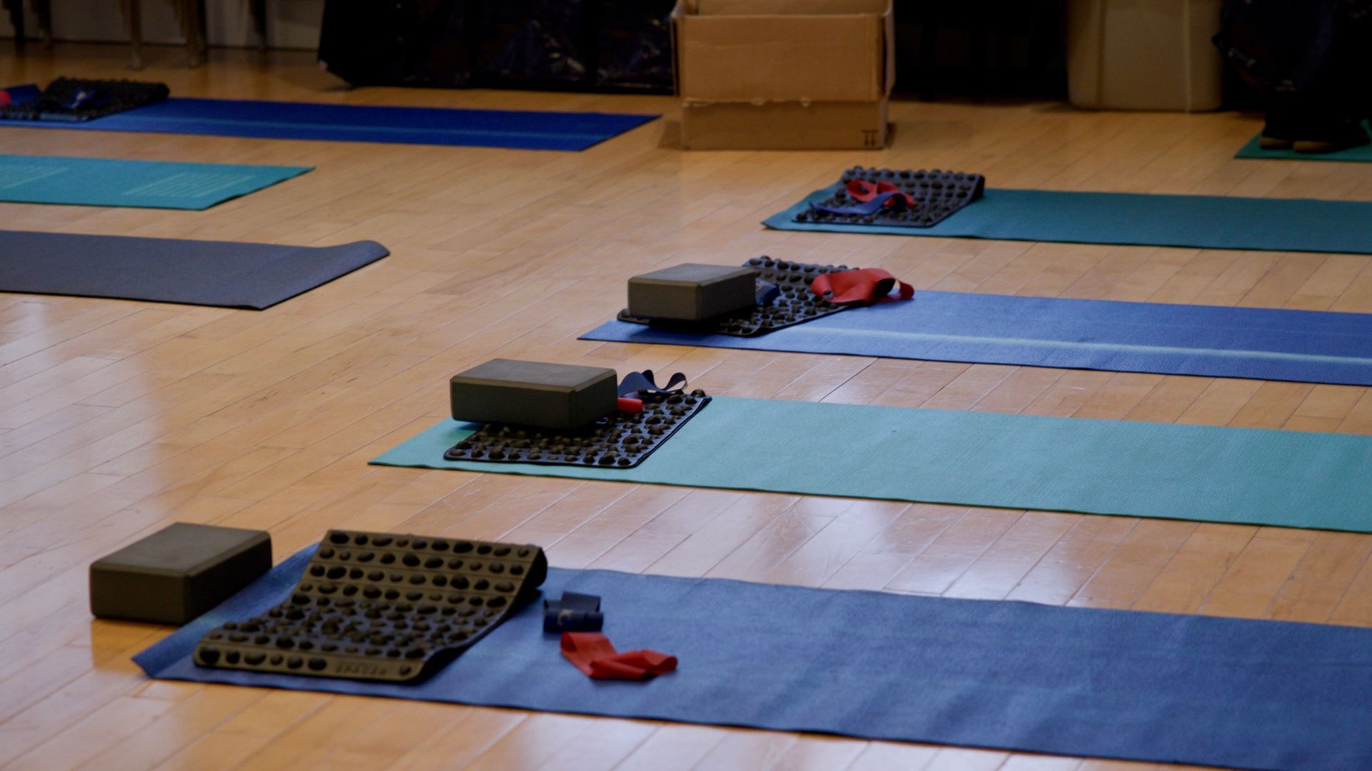 A row of yoga mats on a wooden floor