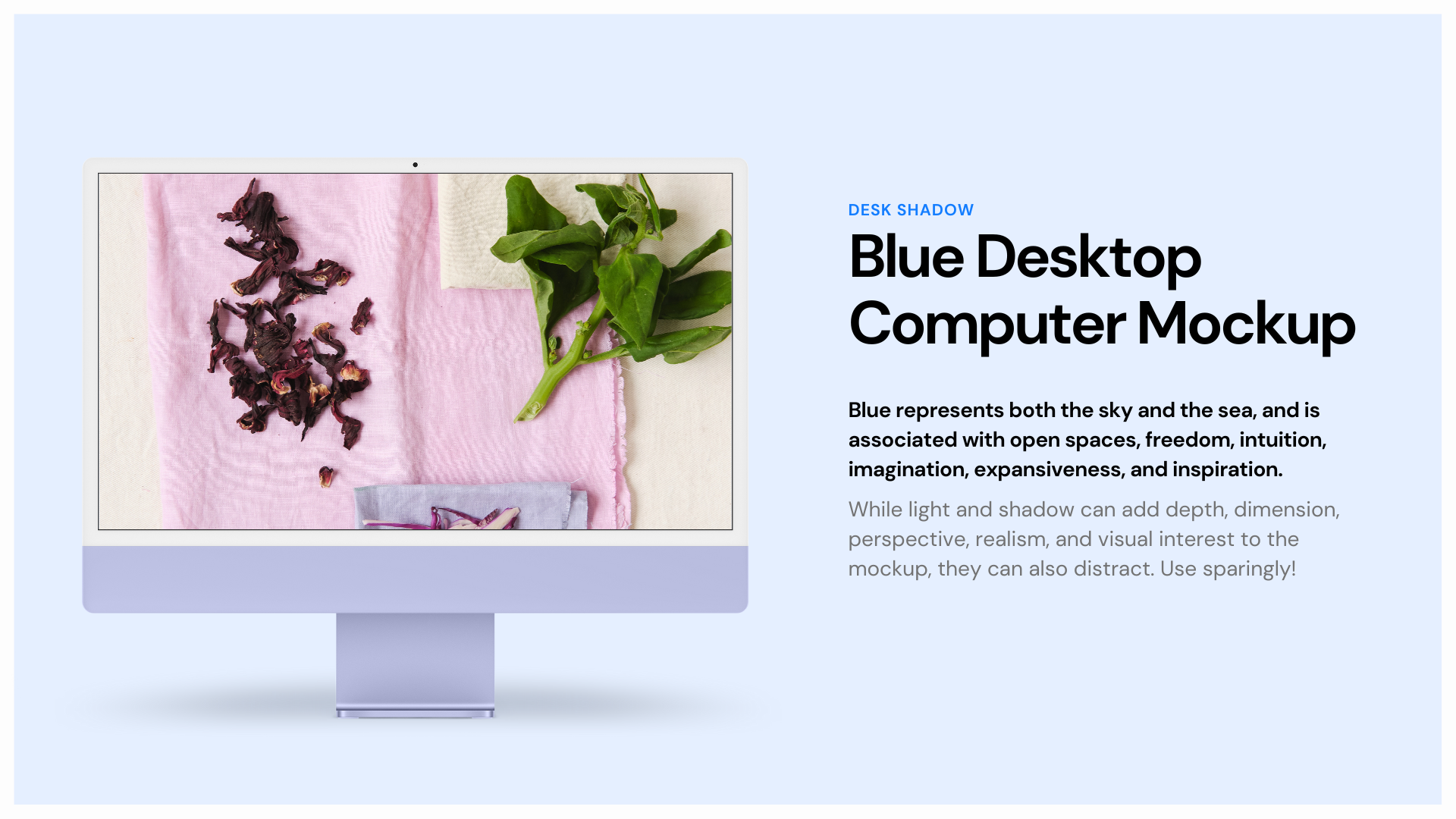 A blue desktop computer mockup with a picture of a plant on the screen.