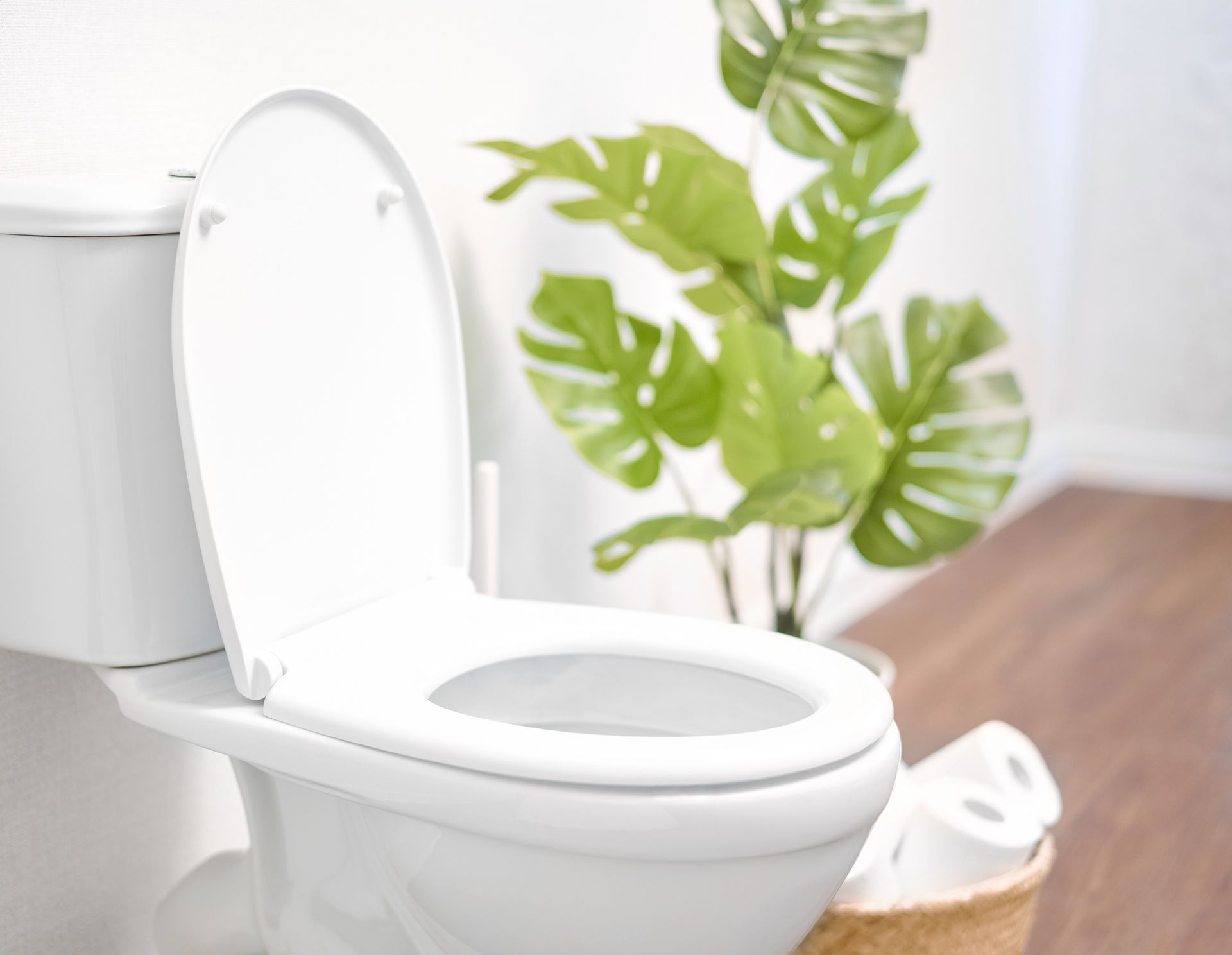 A white toilet is sitting in a bathroom next to a plant.