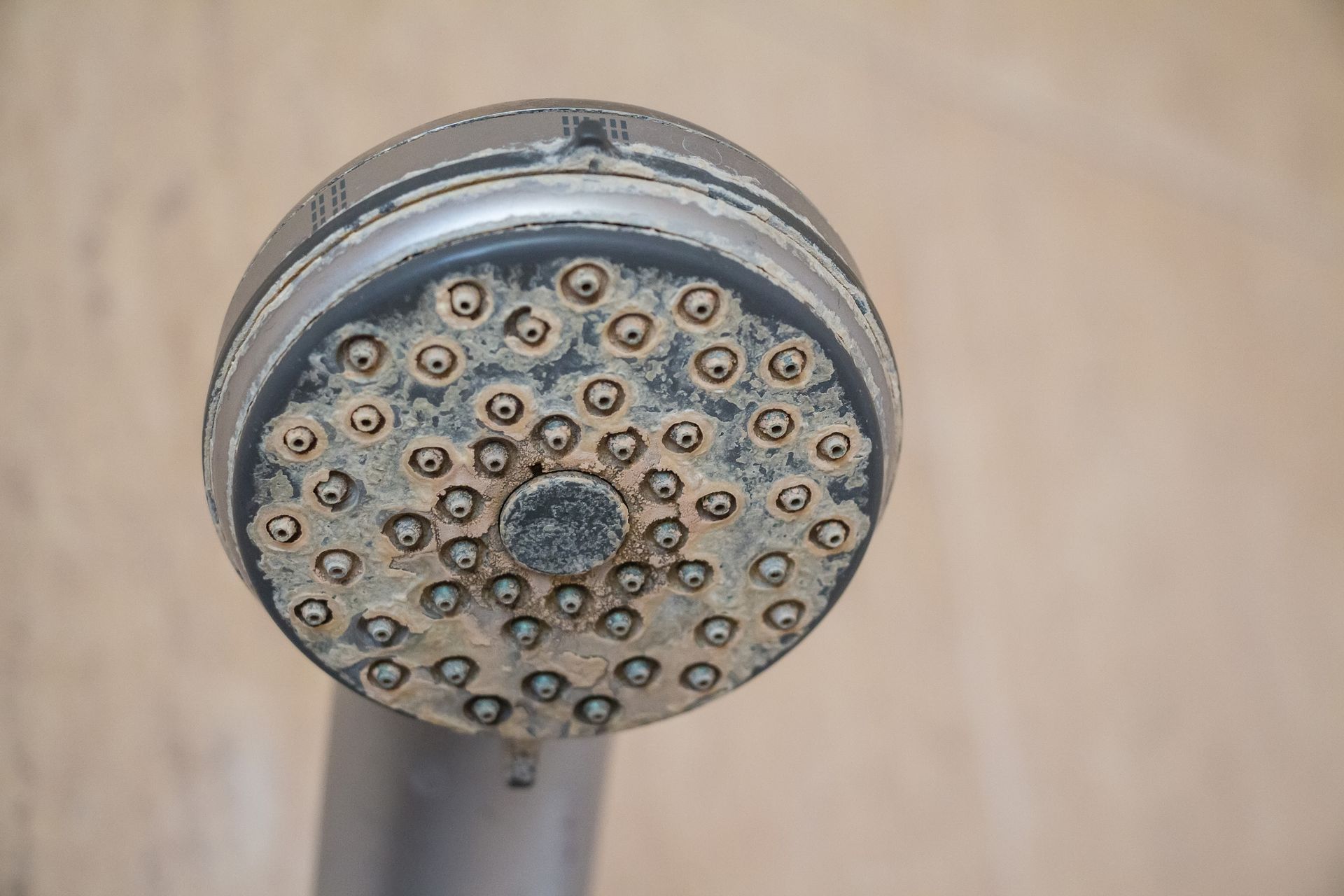 Dirty, calcified showerhead, close-up against a light brown wall.