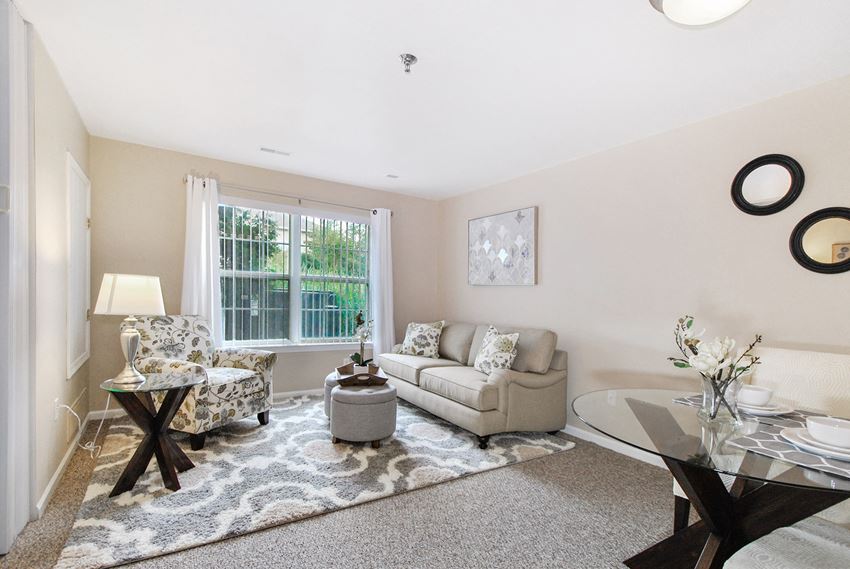 Living Room Interior