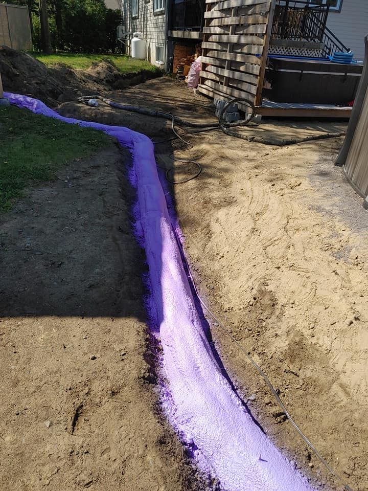 Une tranchée remplie de mousse violette brillante, à côté d'une zone herbeuse et d'une maison.