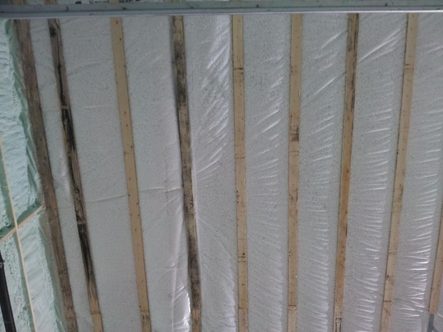 Poutres en bois avec isolation blanche recouverte d'une bâche en plastique ; moisissure noire visible.