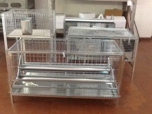 Alimenti per animali