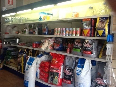 Mangimi per animali esposti in vetrina