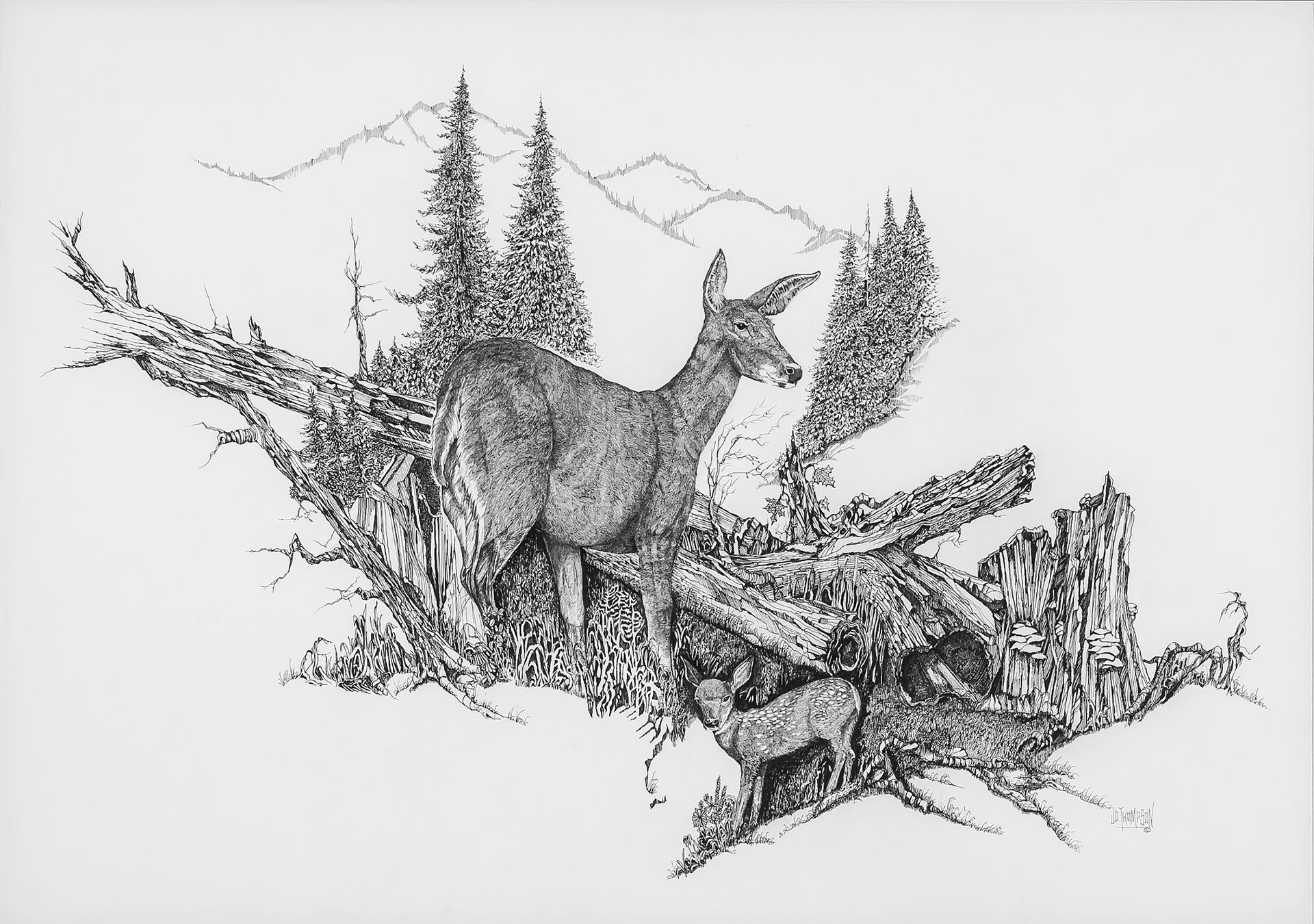 J. Douglas Thompson paintings Belleville