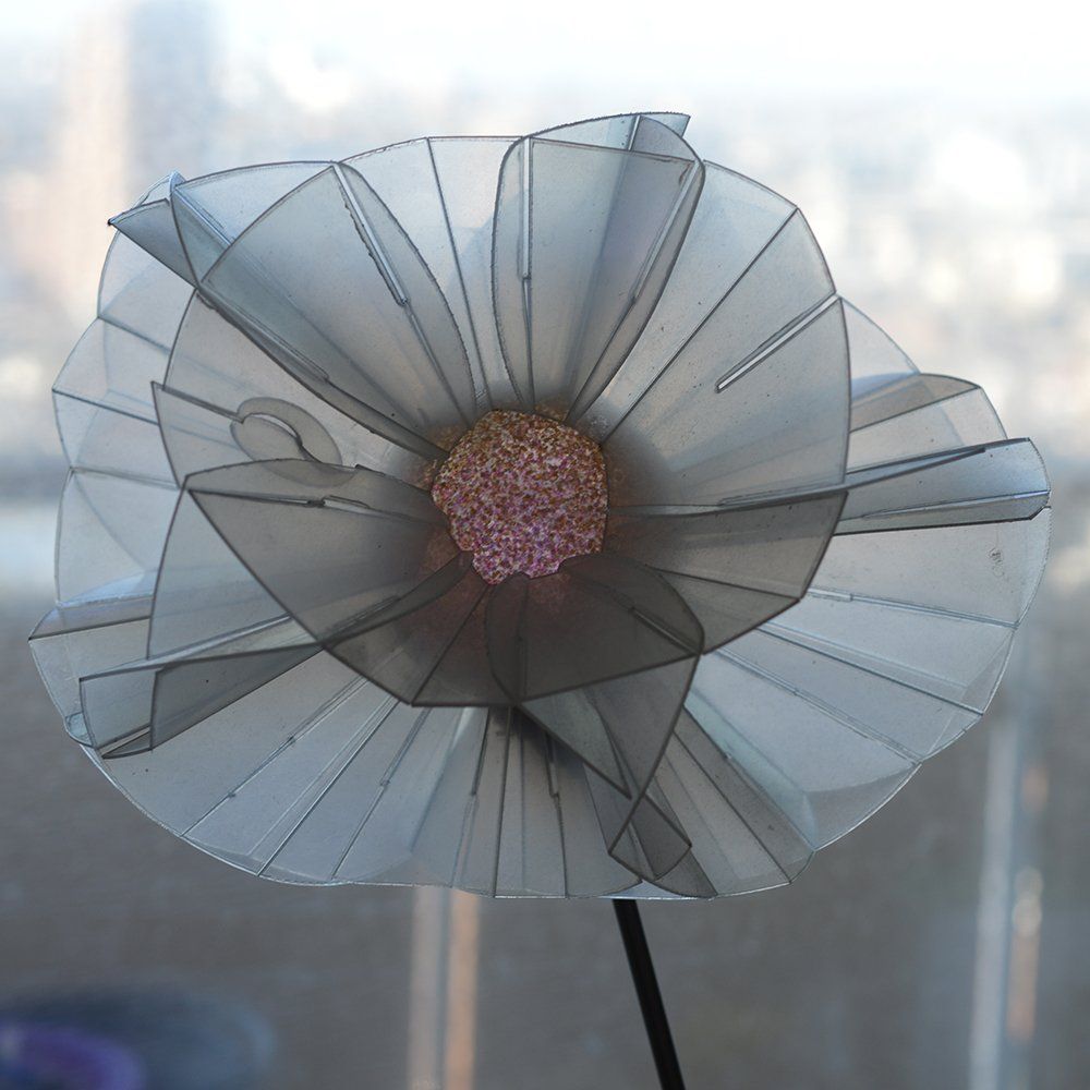 Sophia Construct as the Brighton Flower. Laser Cut polypropylene