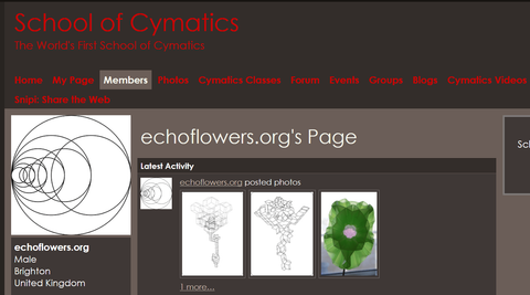 Shool of Cymatics. web site