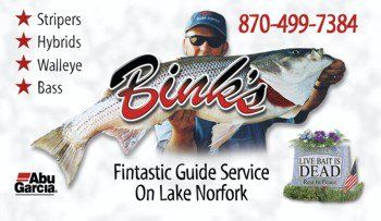 Logo For Binks Guide Service