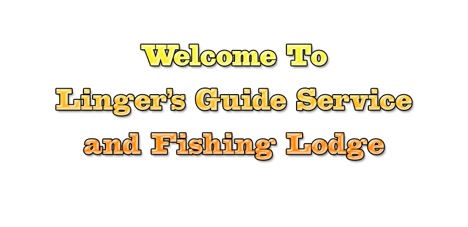 Welcome To Linger's Guide Service